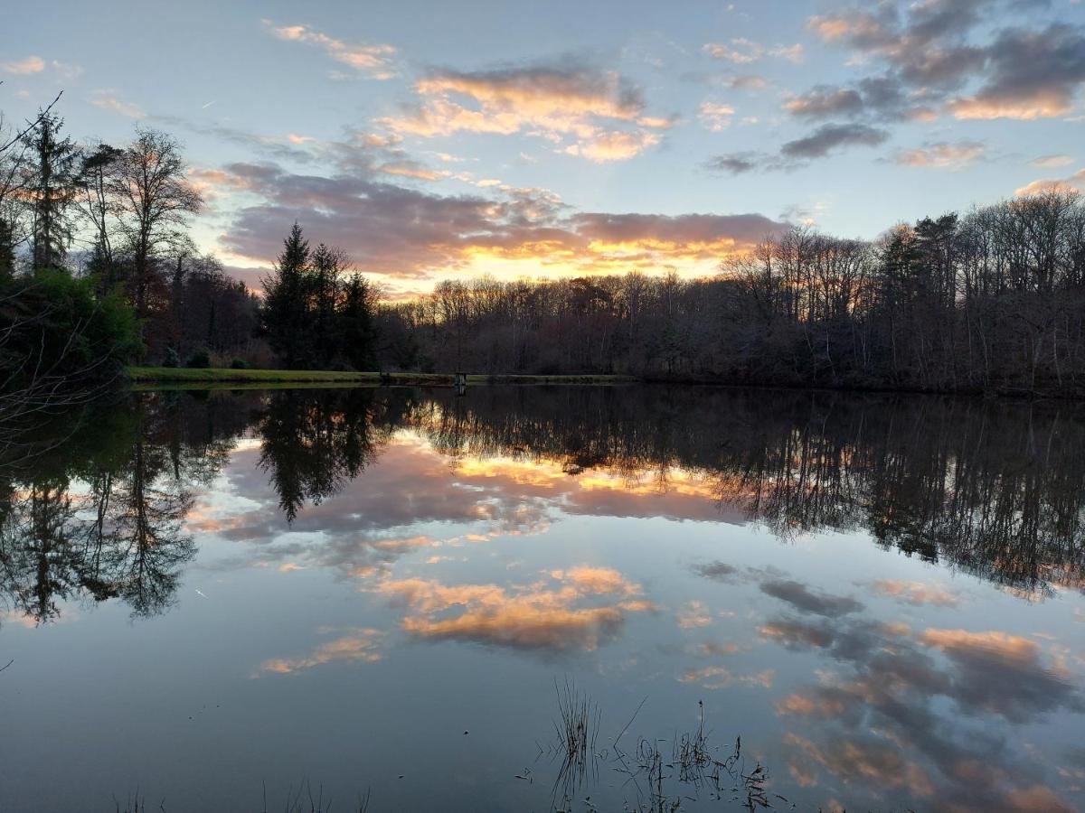 "Le Petit Bonheur" Gite Van 4 Tot 12 Personen Met Prive Vijver Van 2Ha Maisonnais-Sur-Tardoire Exteriér fotografie